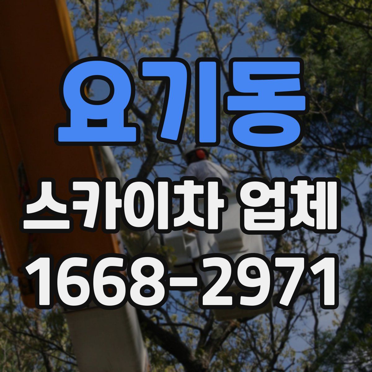 요기동 스카이차 업체