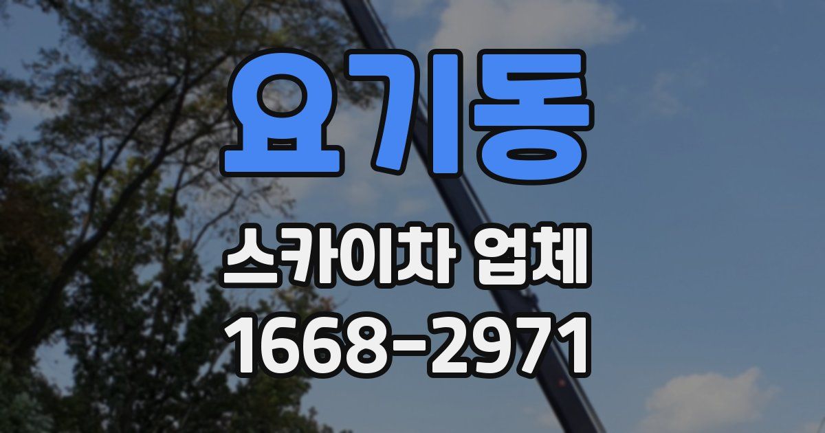 요기동 스카이차 업체