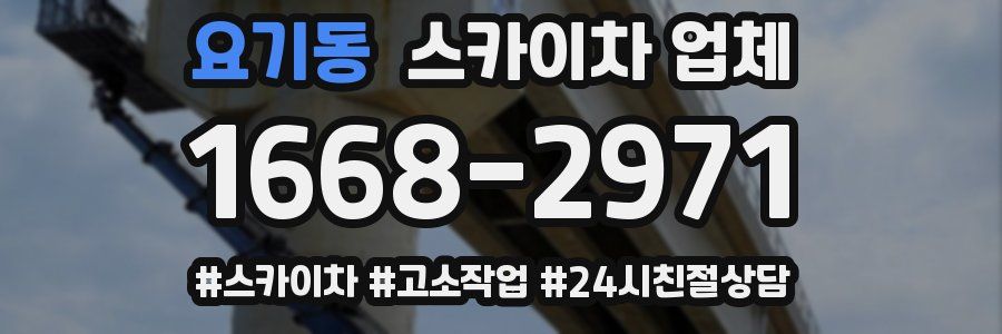 요기동 스카이차 업체