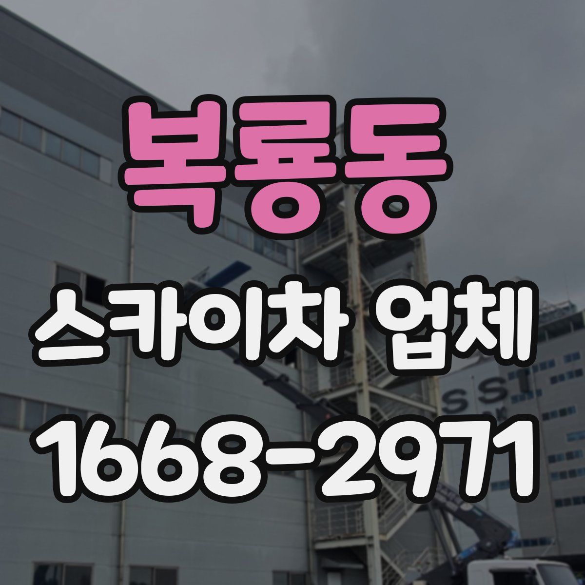 복룡동 스카이차 업체