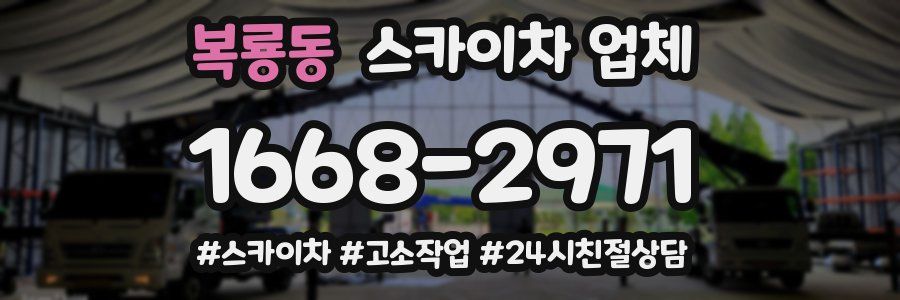 복룡동 스카이차 업체