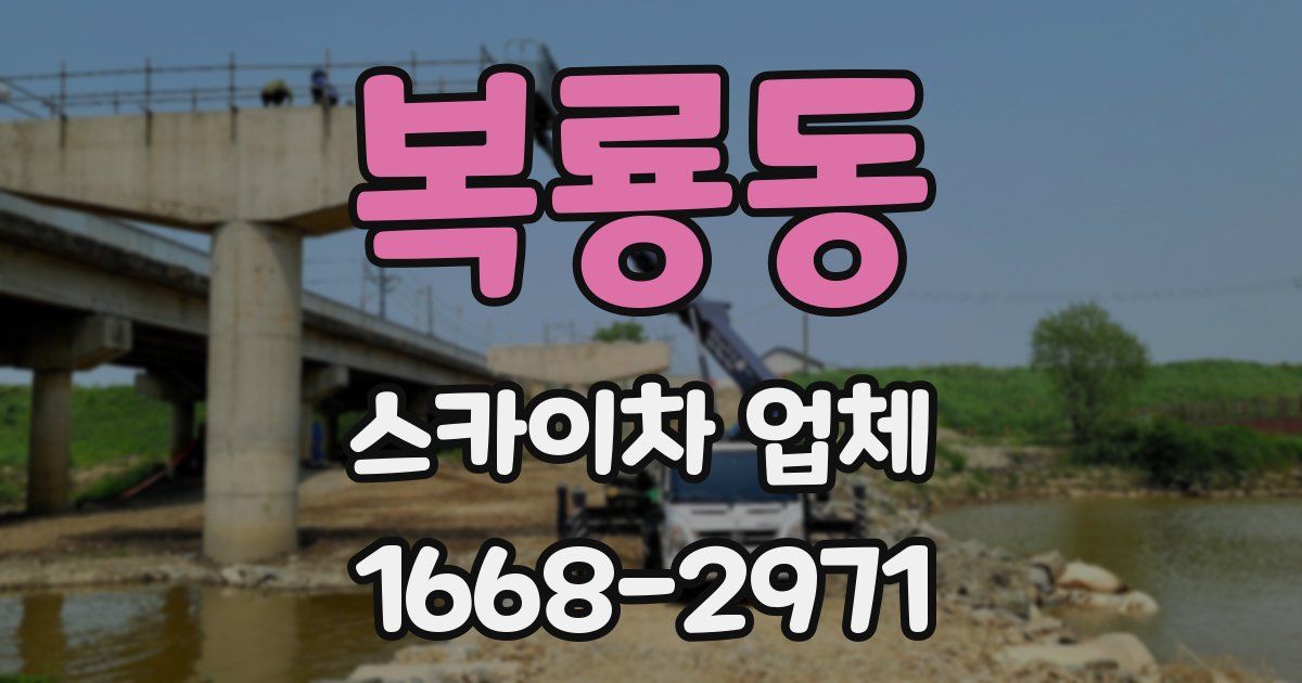 복룡동 스카이차 업체