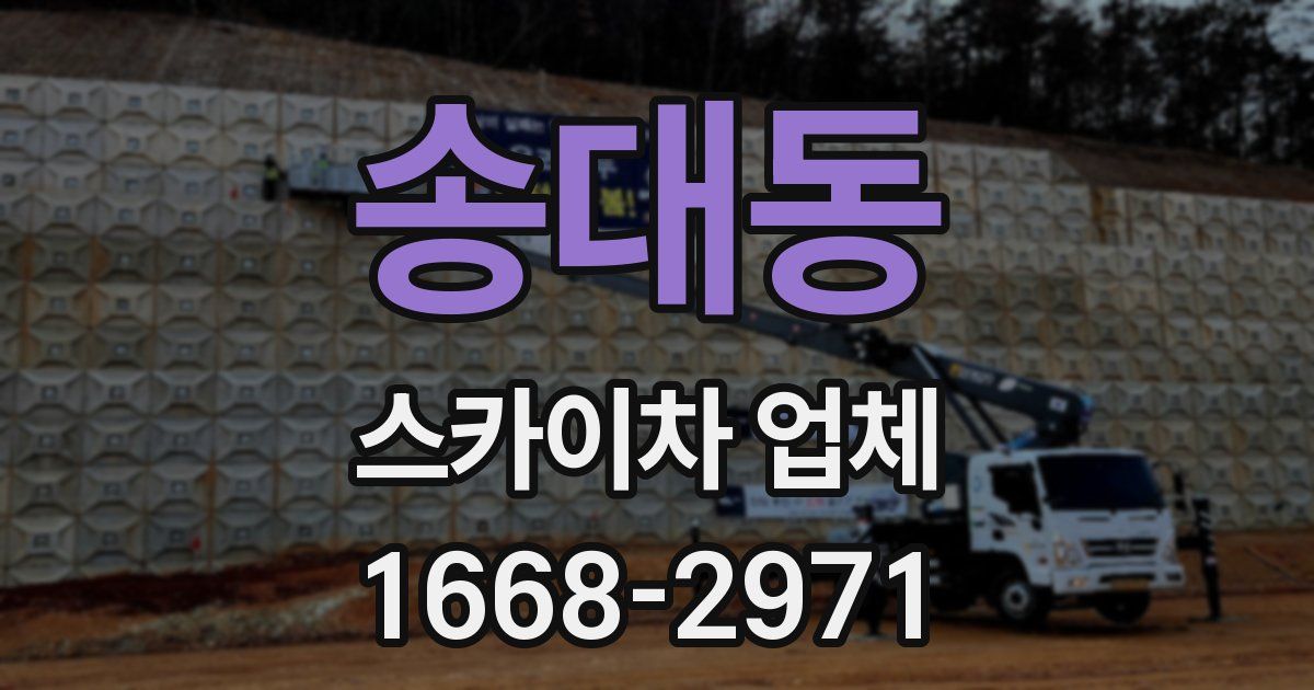 송대동 스카이차 업체