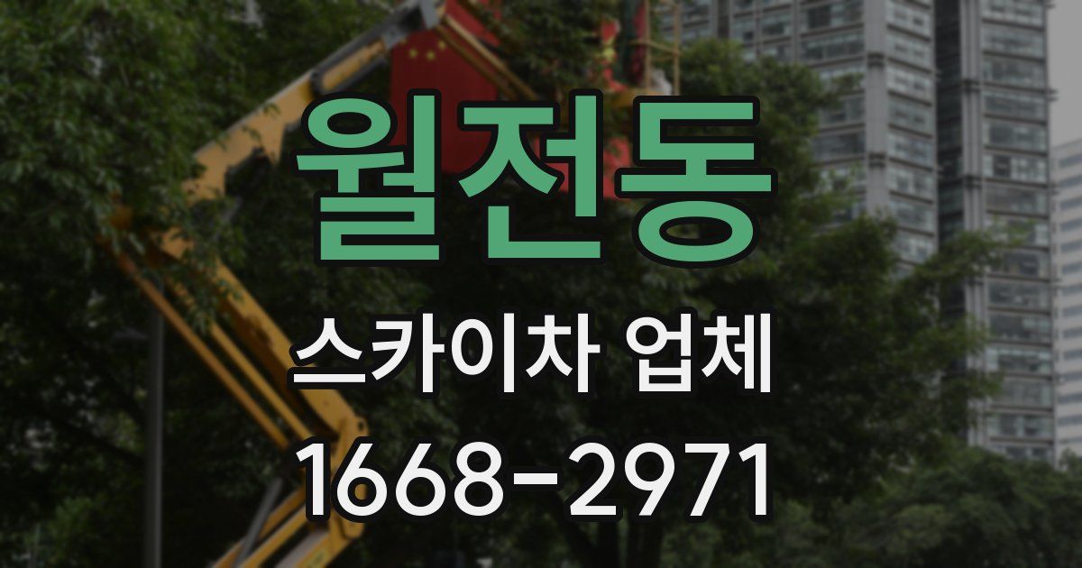 월전동 스카이차 업체