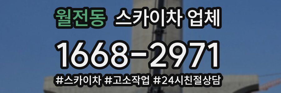월전동 스카이차 업체