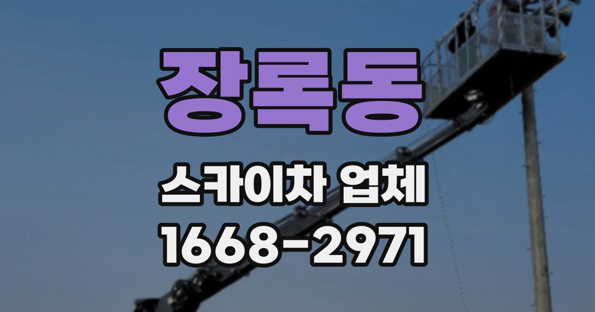 장록동 스카이차 업체