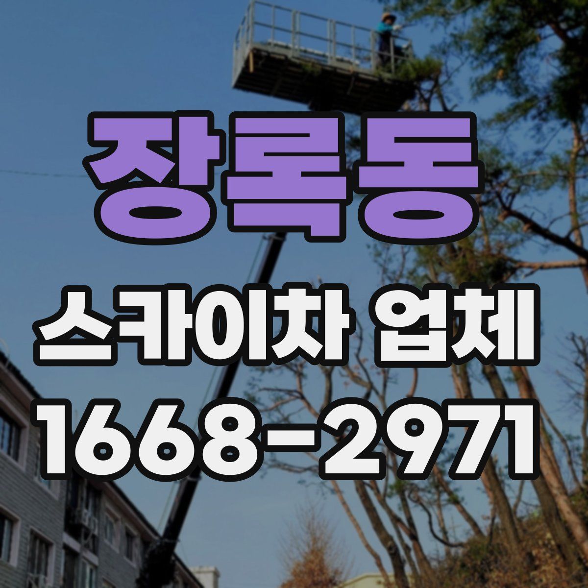 장록동 스카이차 업체