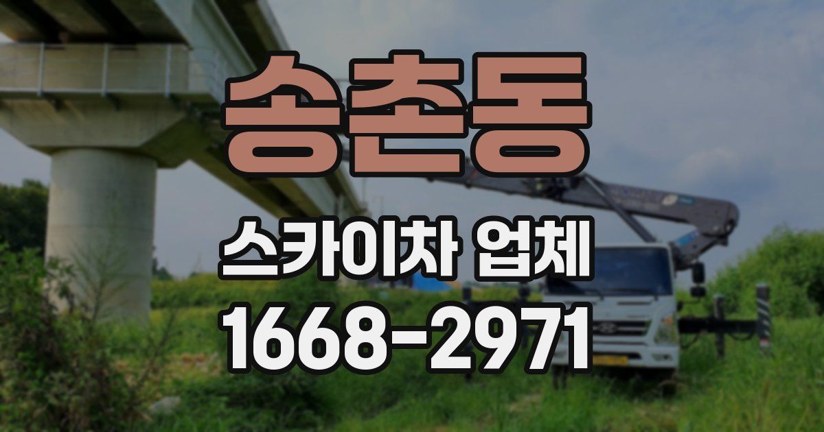 송촌동 스카이차 업체