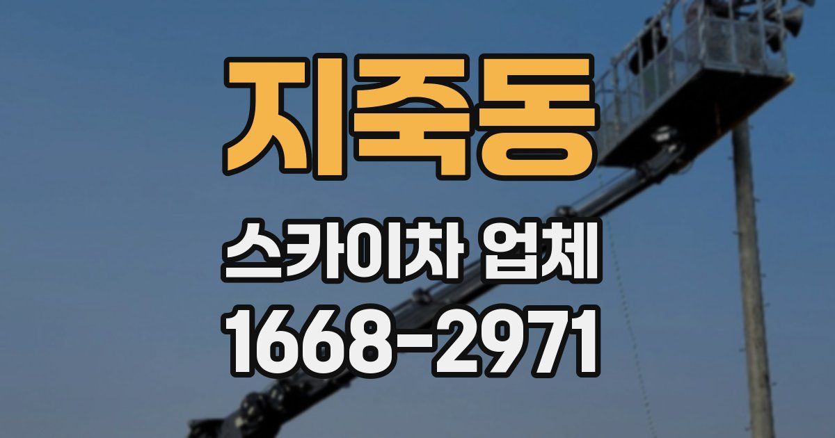 지죽동 스카이차 업체