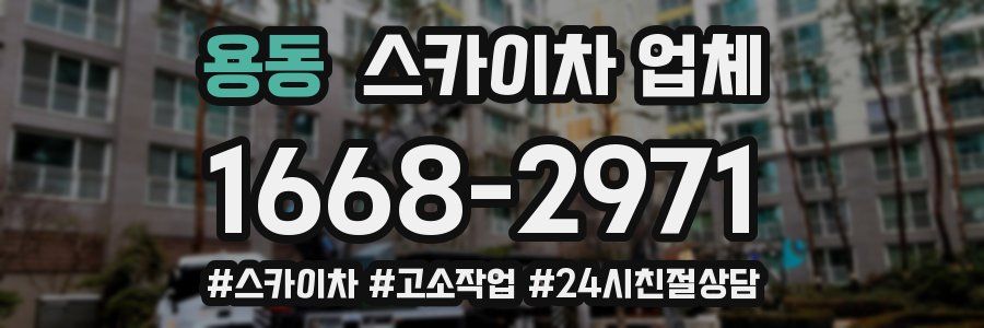 용동 스카이차 업체