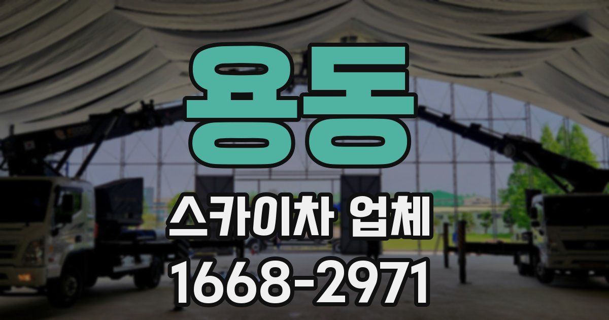 용동 스카이차 업체
