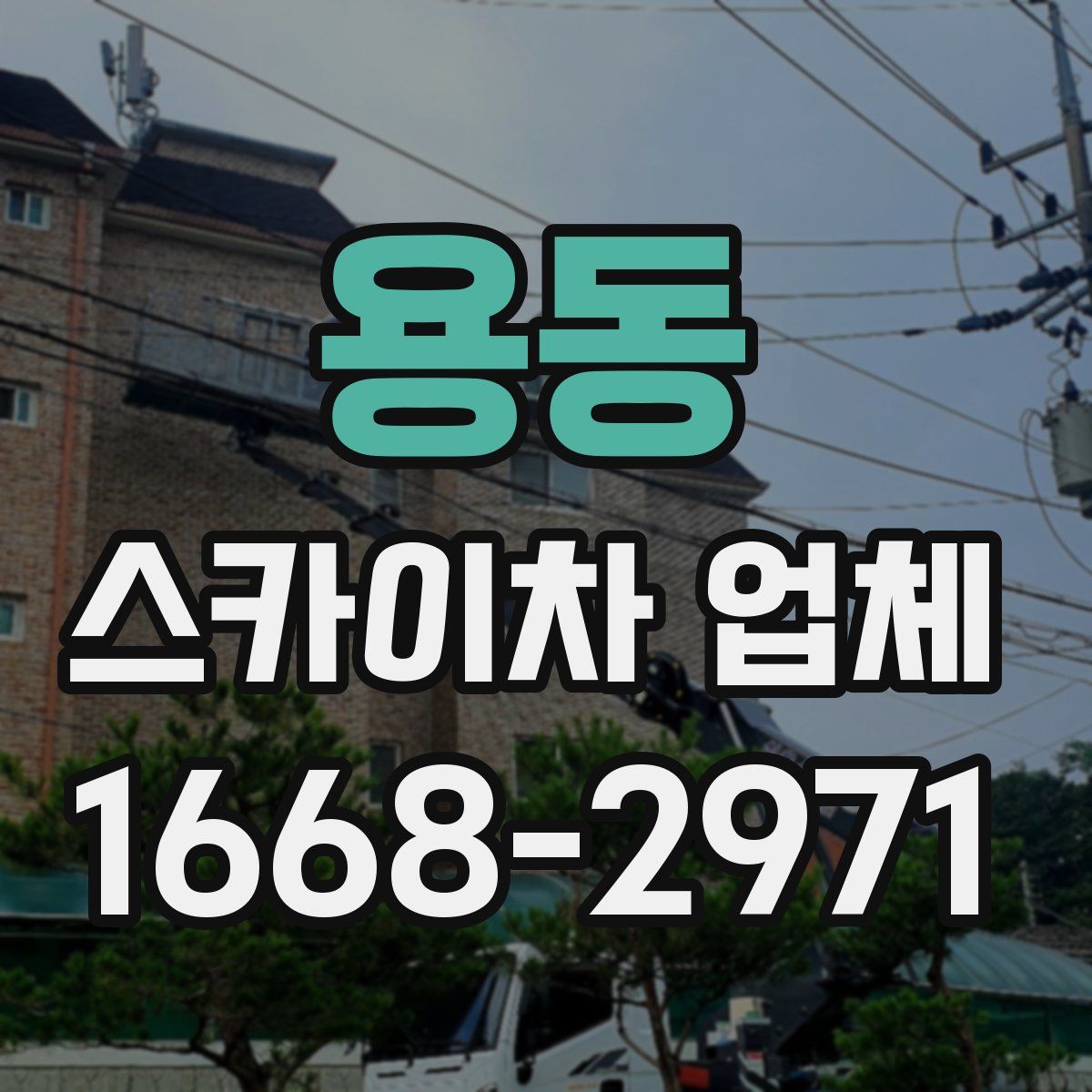 용동 스카이차 업체