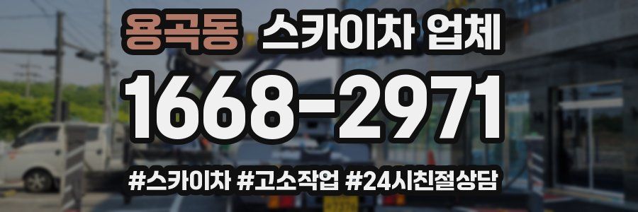 용곡동 스카이차 업체