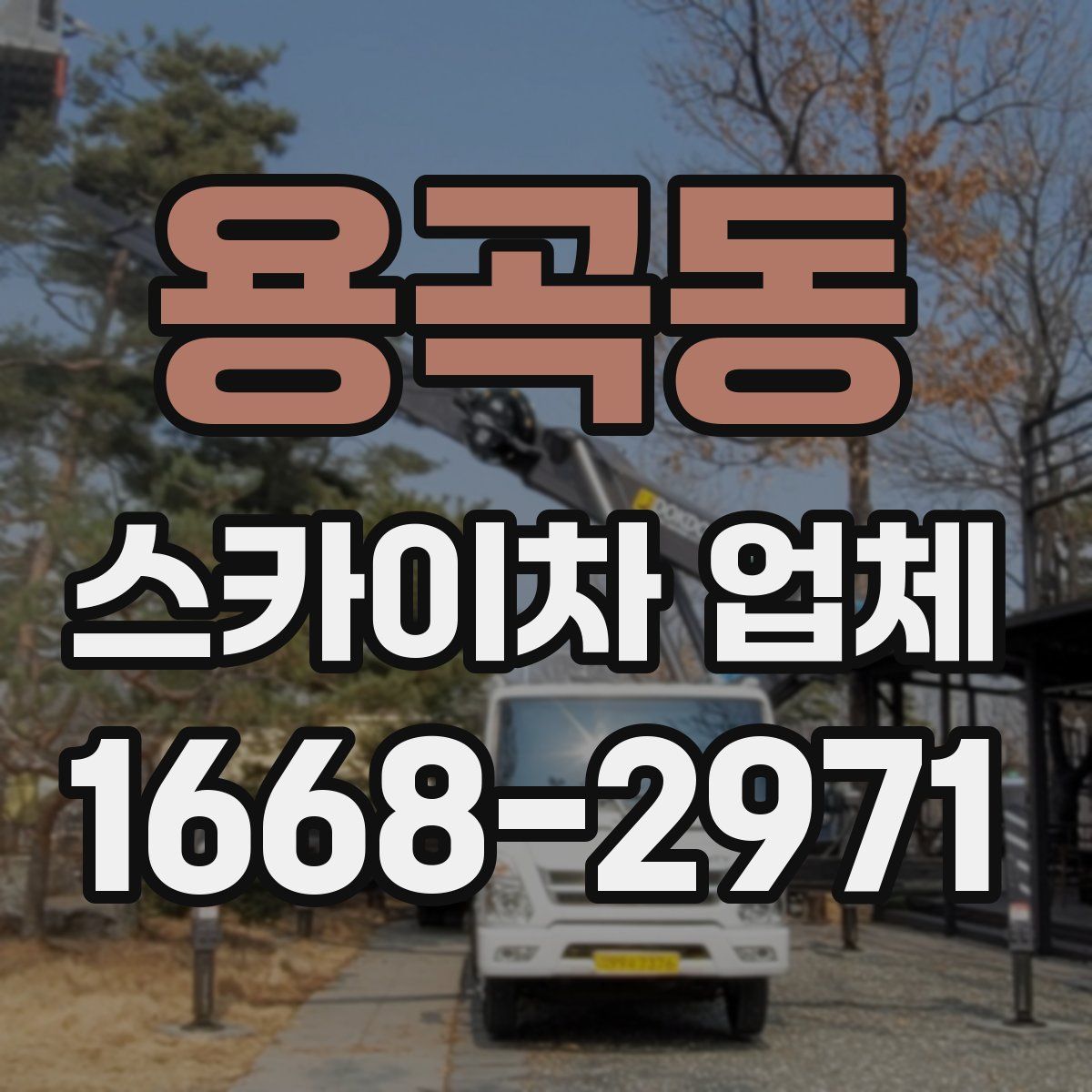용곡동 스카이차 업체