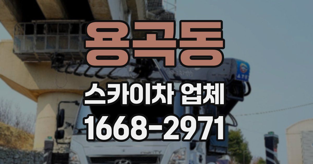 용곡동 스카이차 업체