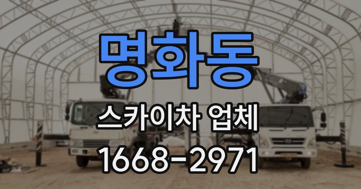 명화동 스카이차 업체