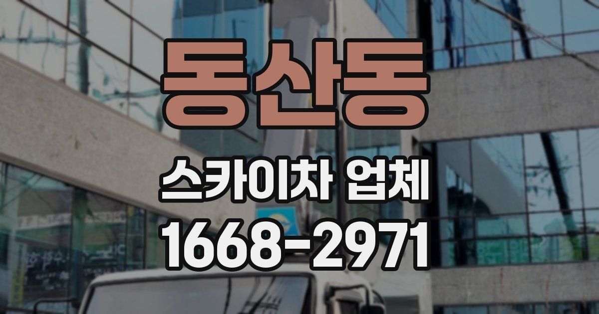 동산동 스카이차 업체