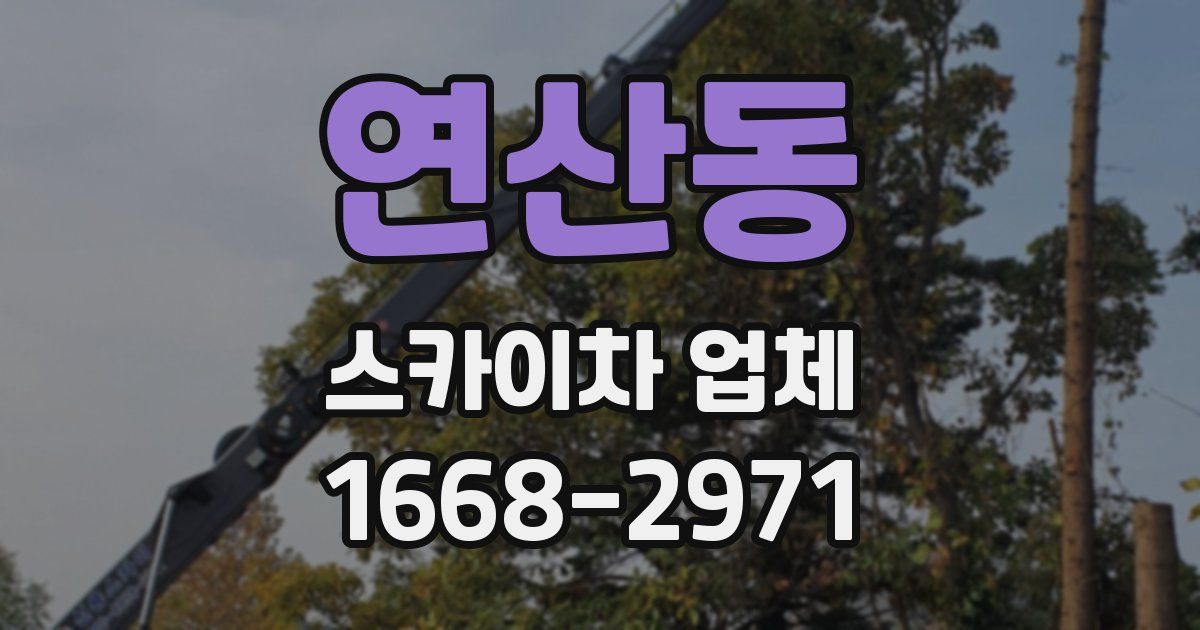 연산동 스카이차 업체