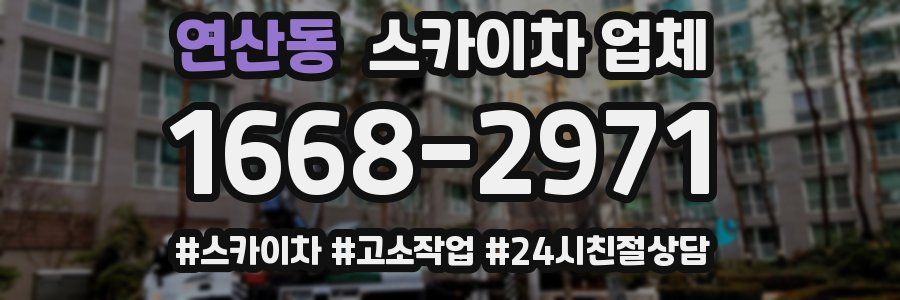 연산동 스카이차 업체