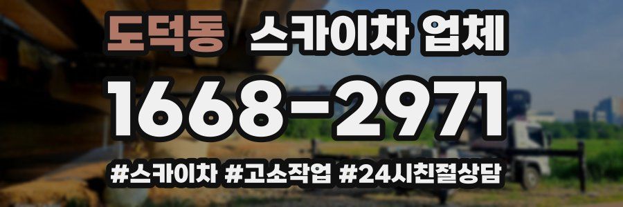 도덕동 스카이차 업체