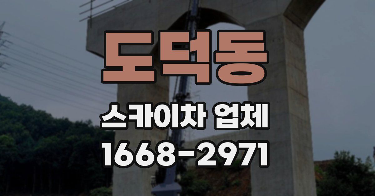 도덕동 스카이차 업체
