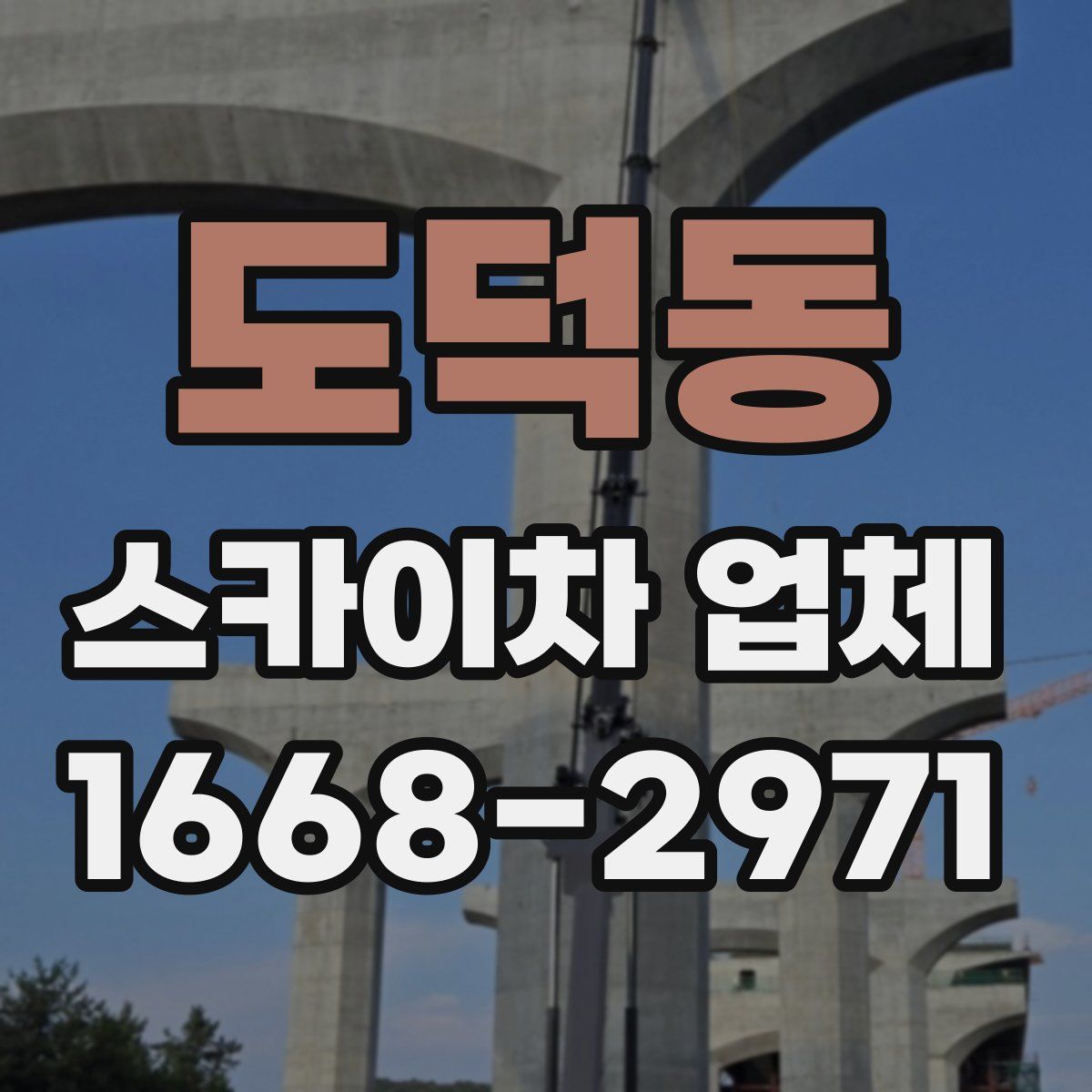 도덕동 스카이차 업체
