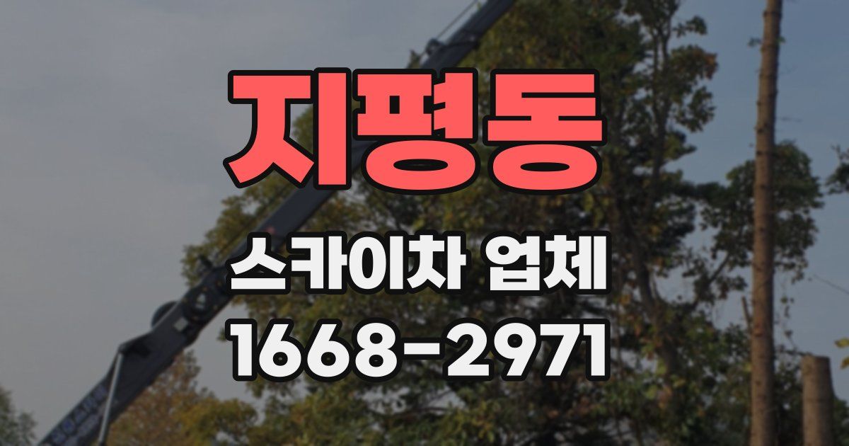 지평동 스카이차 업체