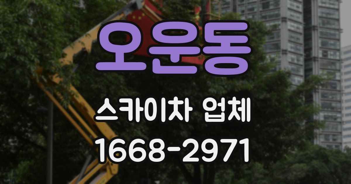 오운동 스카이차 업체