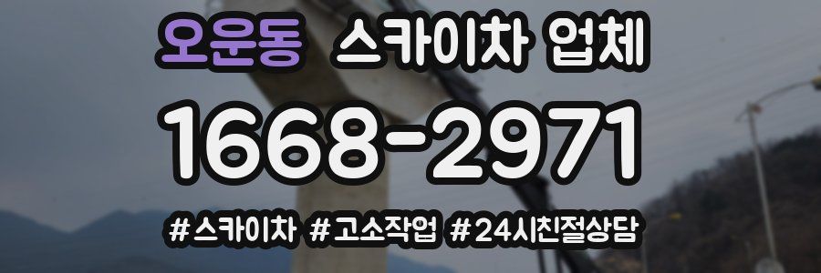 오운동 스카이차 업체