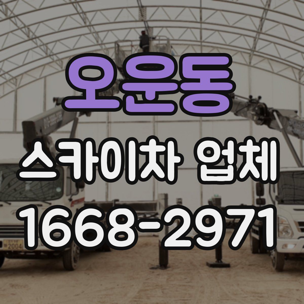 오운동 스카이차 업체
