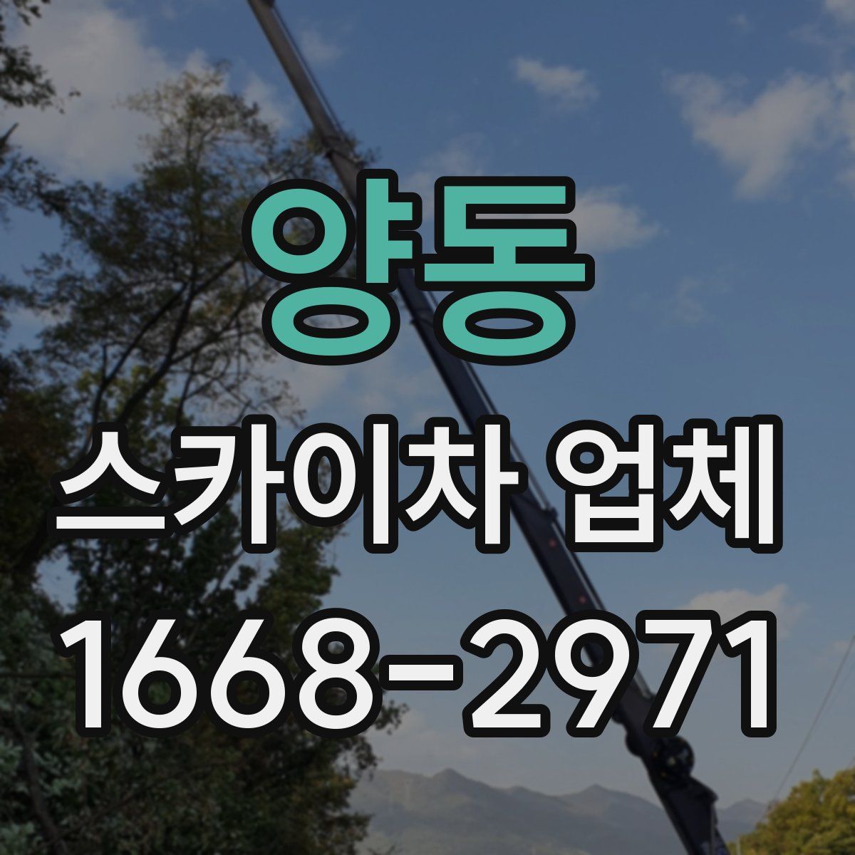 양동 스카이차 업체