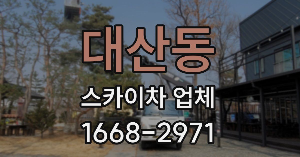 대산동 스카이차 업체