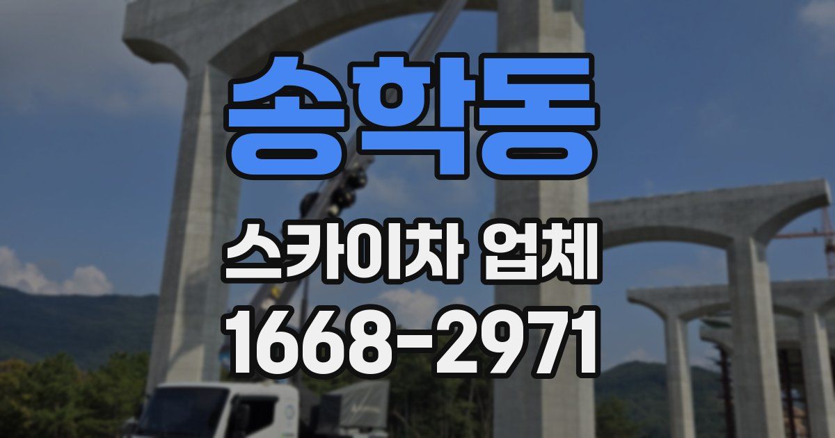 송학동 스카이차 업체