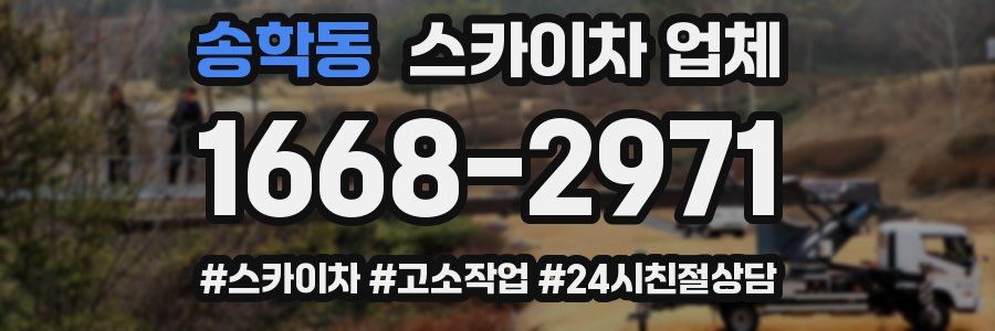 송학동 스카이차 업체
