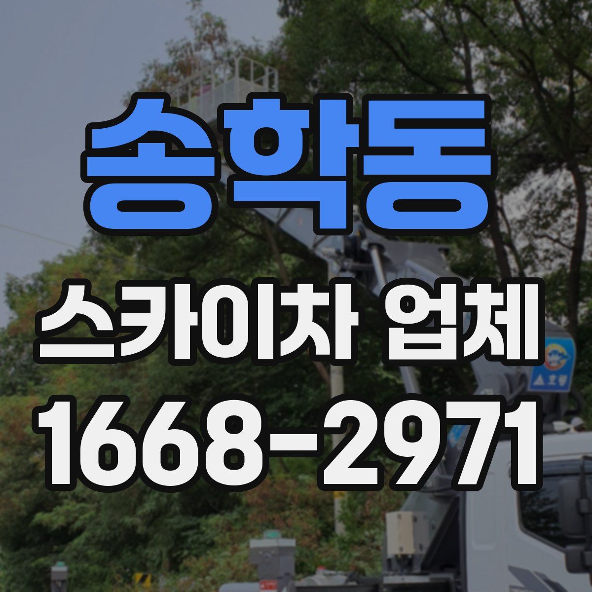 송학동 스카이차 업체