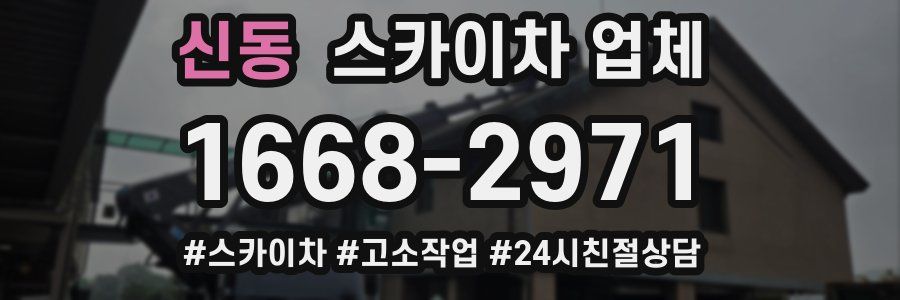 신동 스카이차 업체