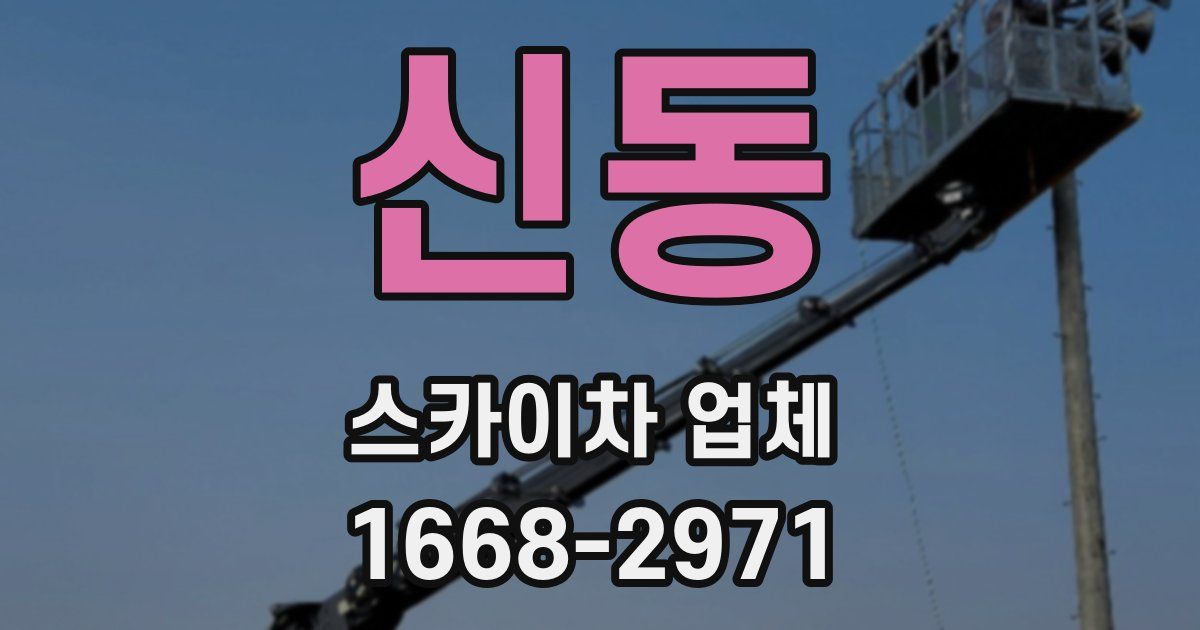 신동 스카이차 업체