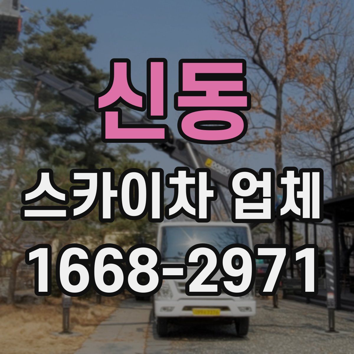 신동 스카이차 업체