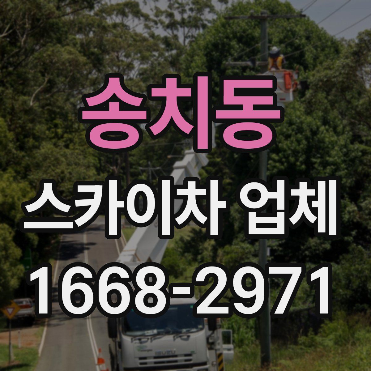 송치동 스카이차 업체