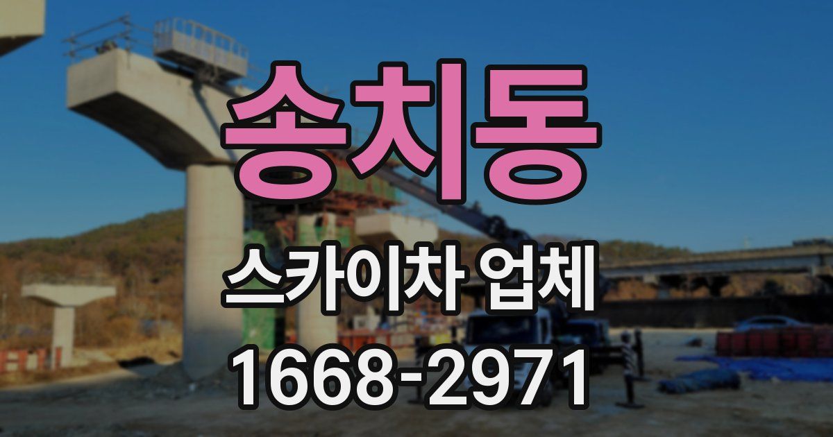 송치동 스카이차 업체