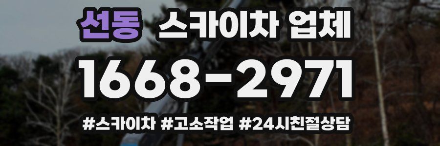 선동 스카이차 업체