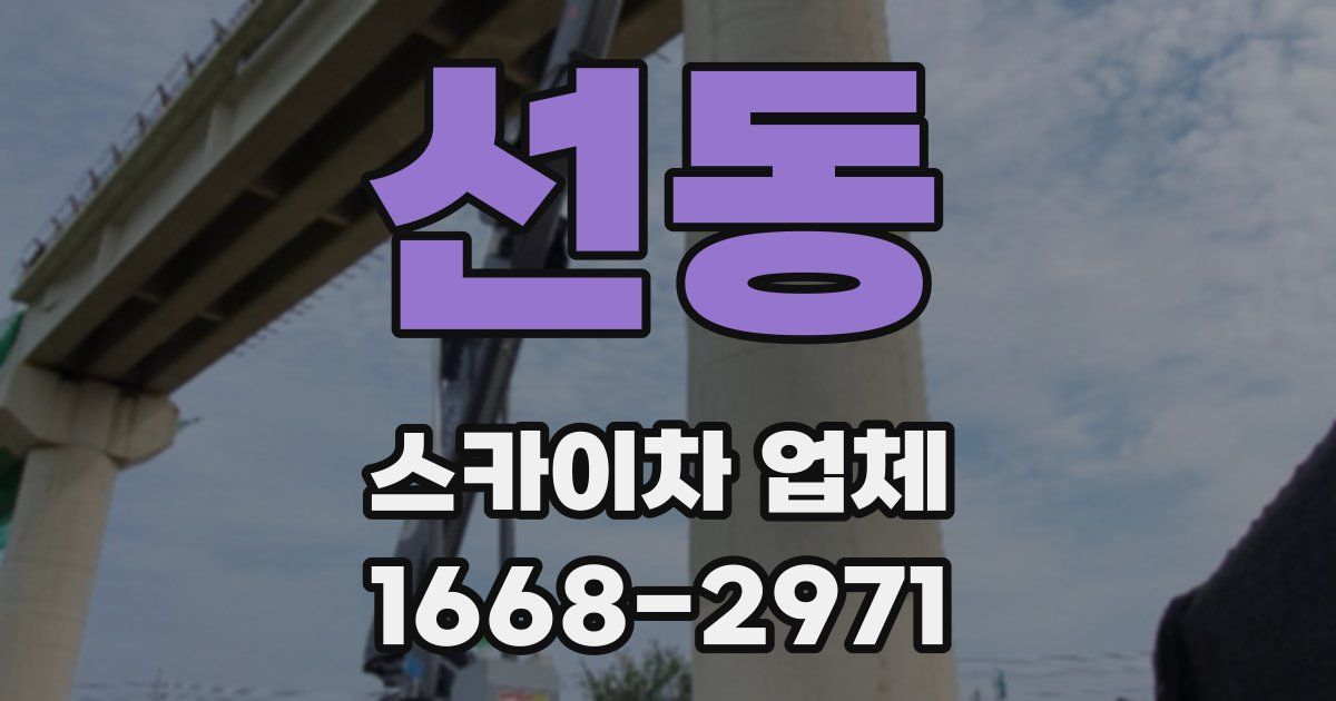 선동 스카이차 업체