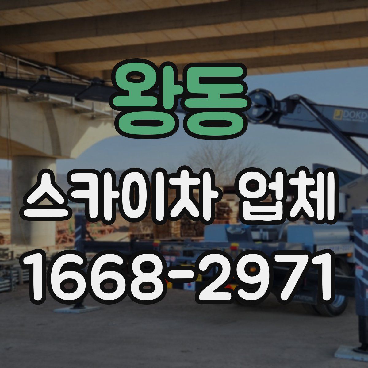 왕동 스카이차 업체
