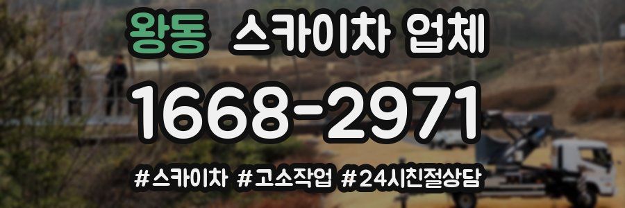 왕동 스카이차 업체
