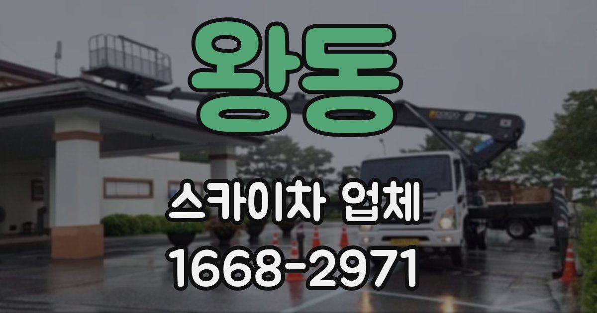 왕동 스카이차 업체