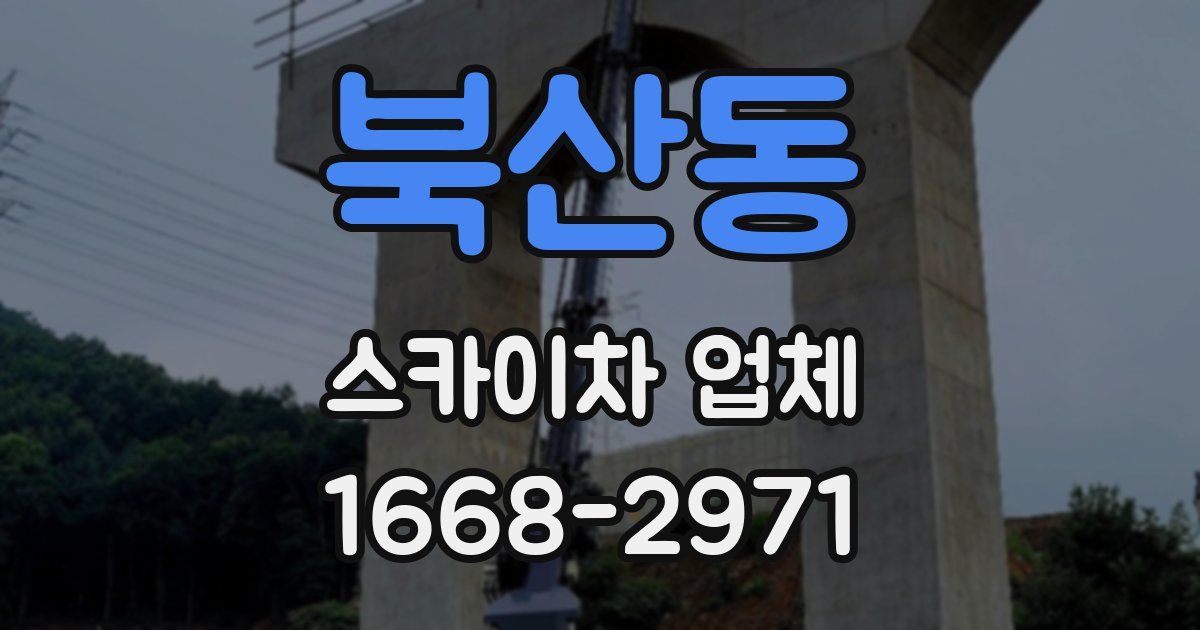 북산동 스카이차 업체