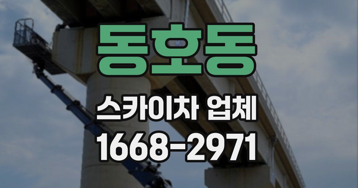 동호동 스카이차 업체