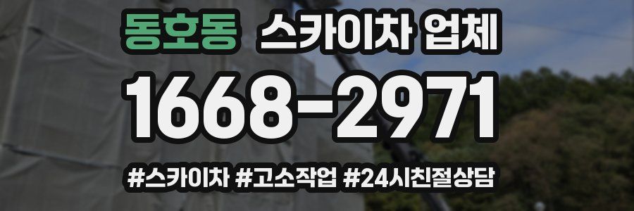 동호동 스카이차 업체