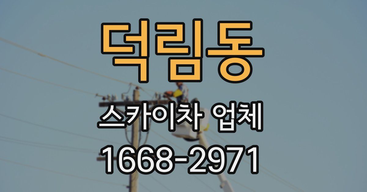 덕림동 스카이차 업체
