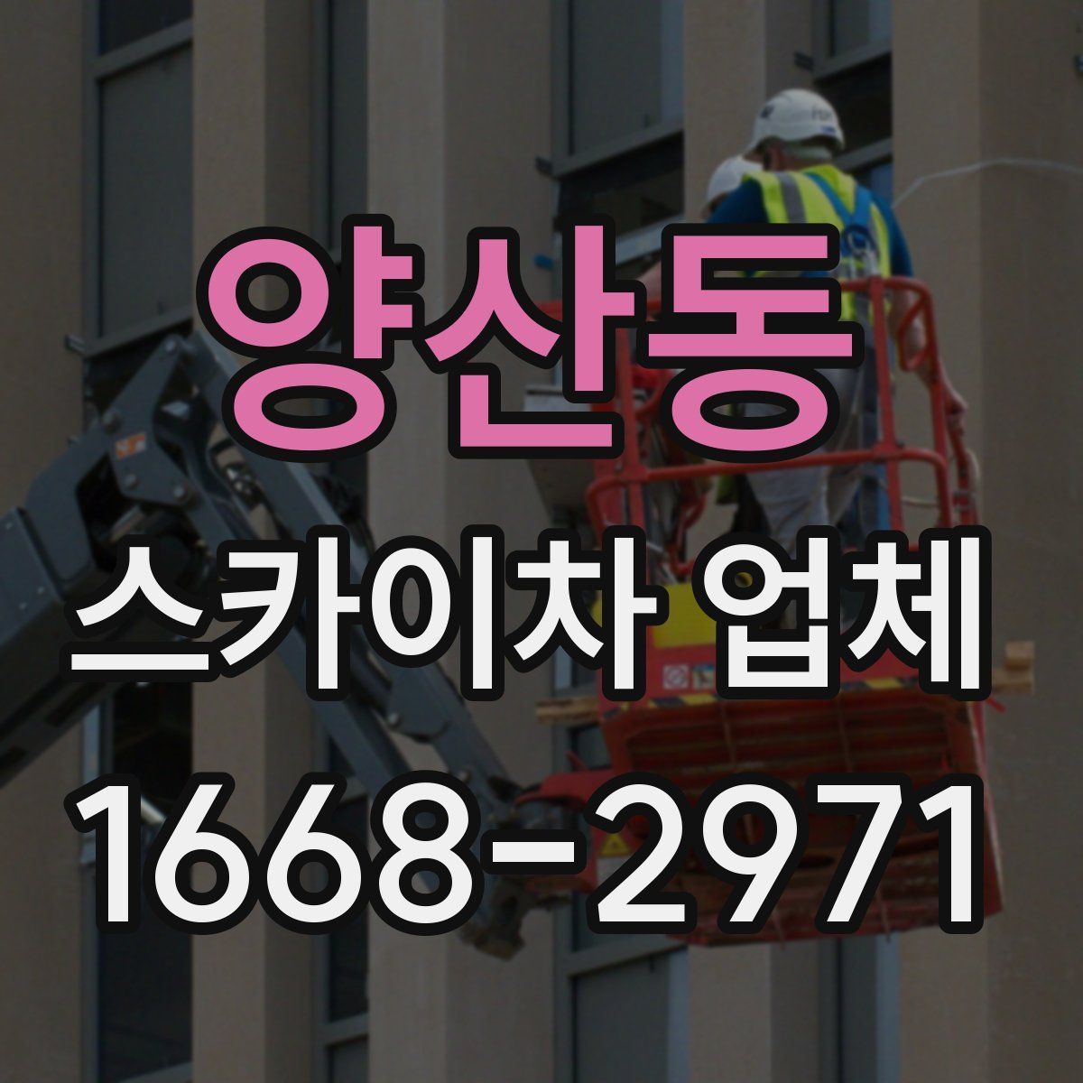 양산동 스카이차 업체